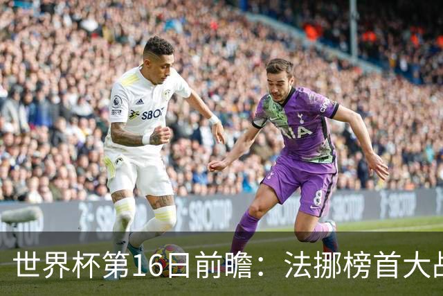 世界杯第16日前瞻：法挪榜首大战又见马宁身影 关注亚洲三队命运