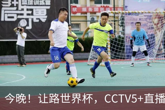 今晚！让路世界杯，CCTV5+直播中国女排VS法国，小将领衔冲击5连胜