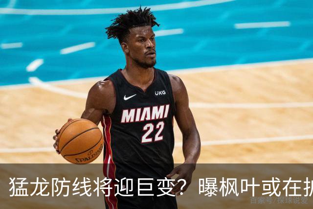 猛龙防线将迎巨变？曝枫叶或在扩军选秀中放弃摩根·里利