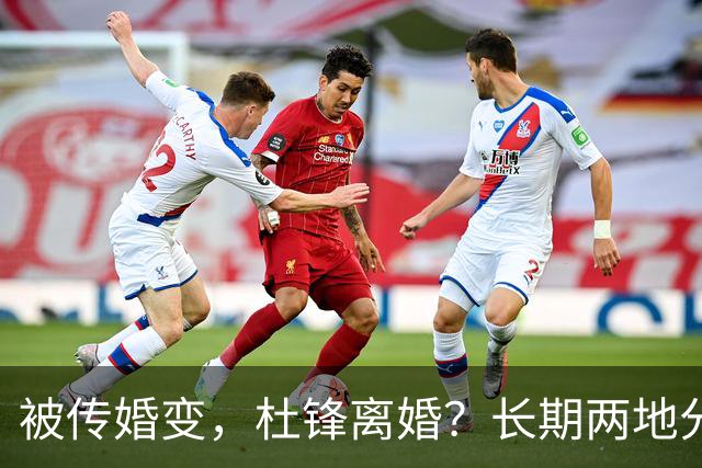 被传婚变，杜锋离婚？长期两地分居，名记回应，家庭情况曝光