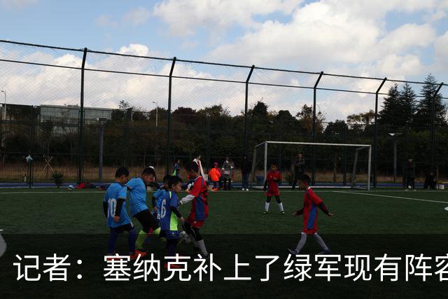 记者：塞纳克补上了绿军现有阵容的防守短板 但他在进攻端偏软