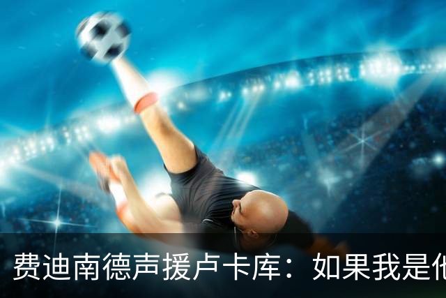 费迪南德声援卢卡库：如果我是他 我可能会疯