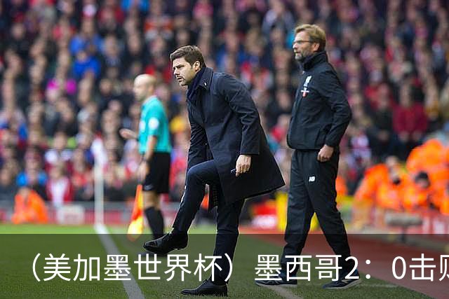 （美加墨世界杯）墨西哥2：0击败厄瓜多尔晋级16强